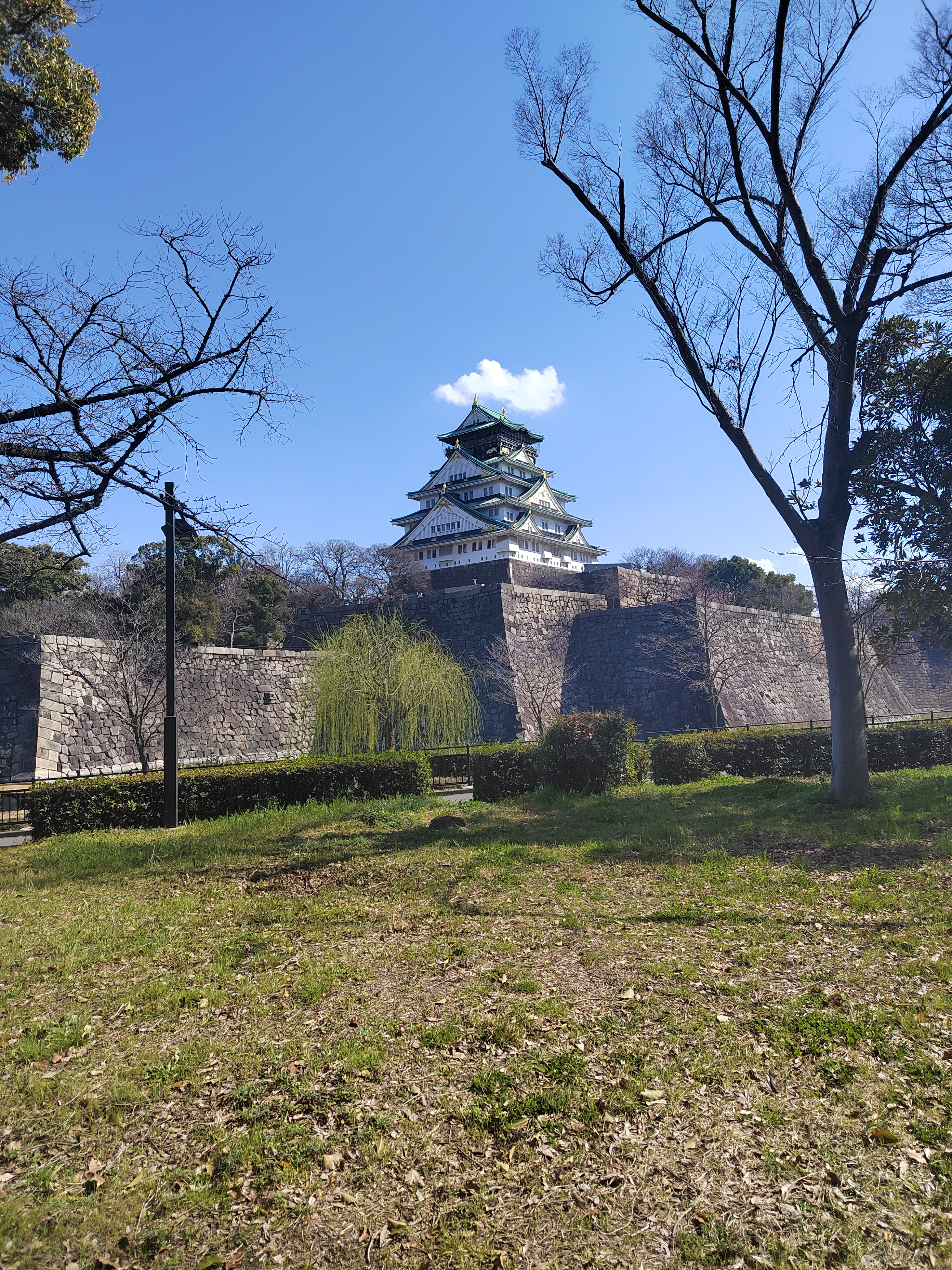 Osaka Castle and Clouds