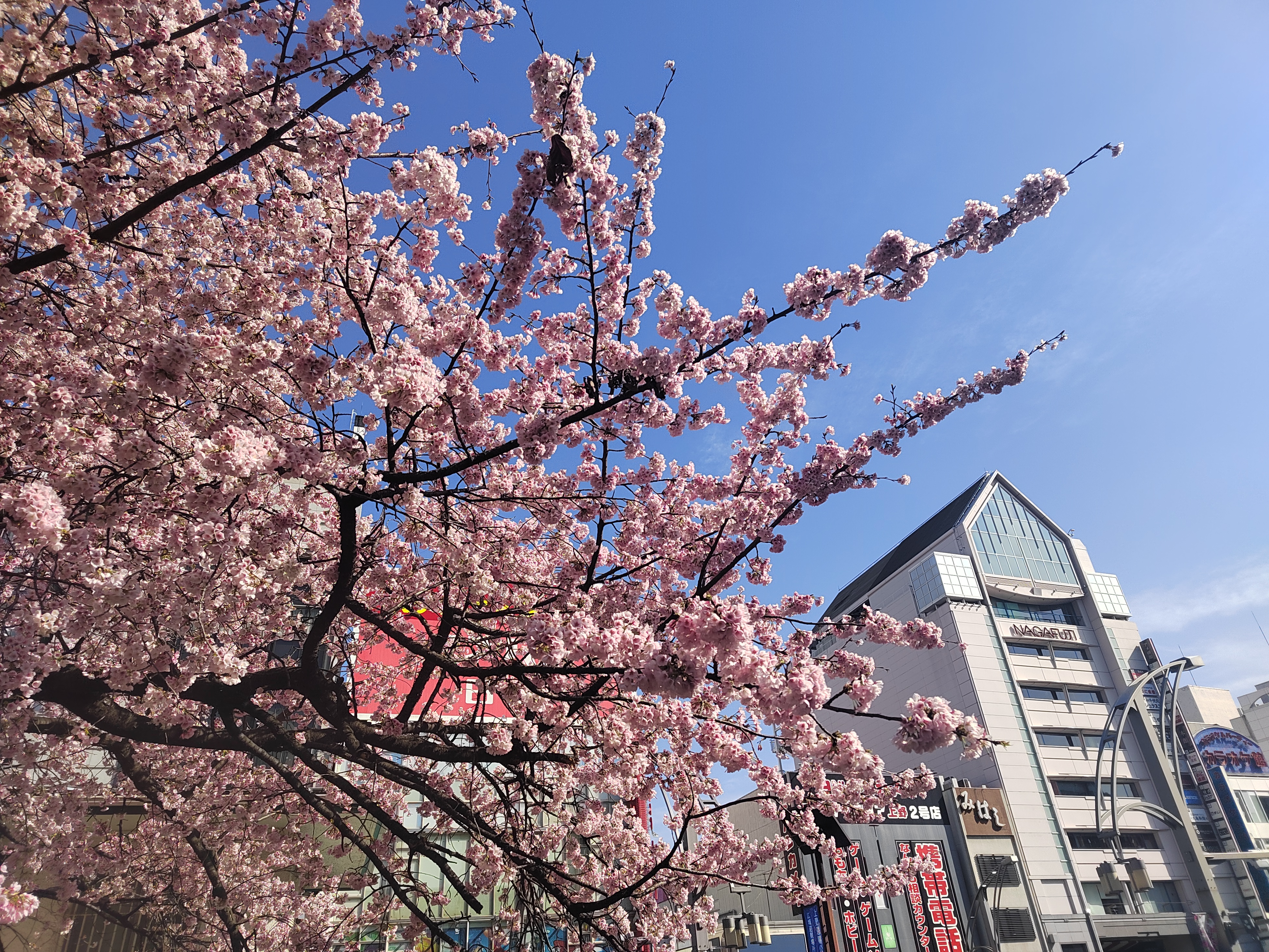 ueno park